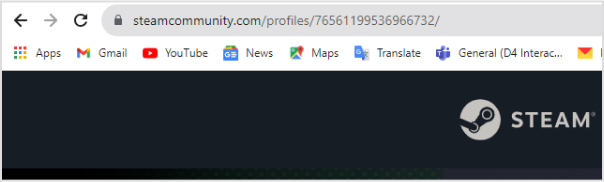 Steam browser